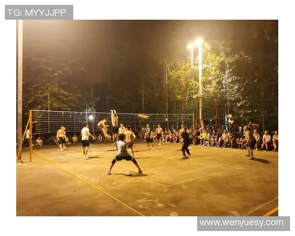 南京排球队的节奏与魅力探讨：聚焦排球运动的热情与团队精神